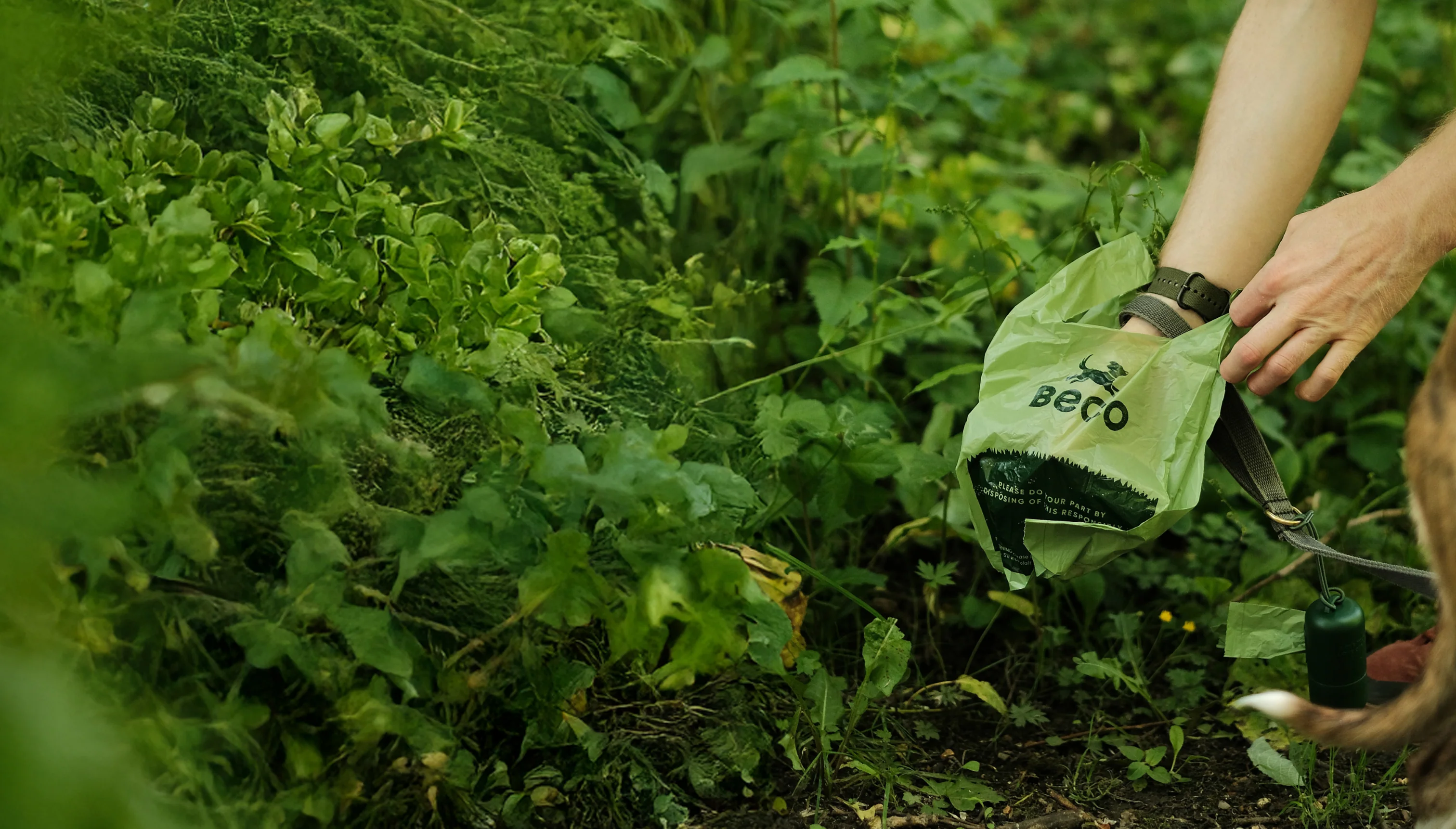 Better Gear for Better Adventures